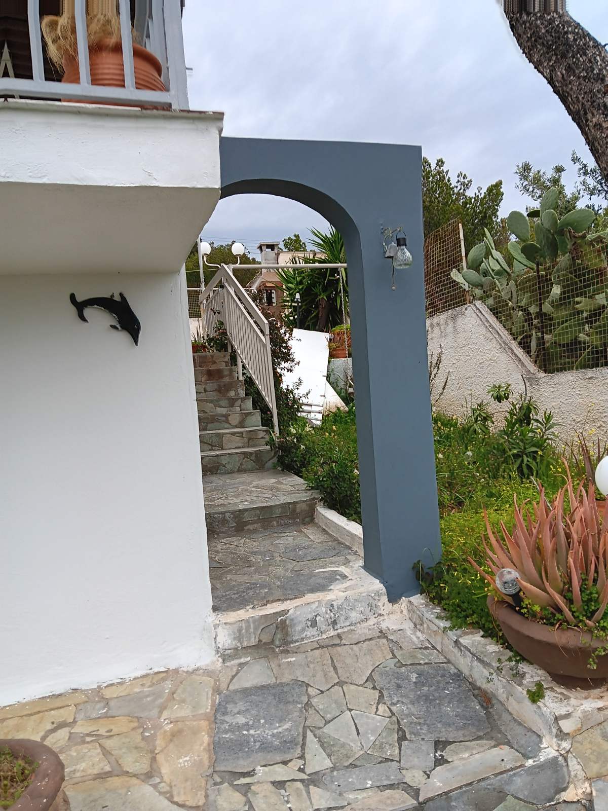 viber_image_2025-06-03_18-50-42-584